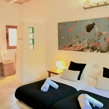 With Private Pool Holiday home Sant Cebria de Vallalta